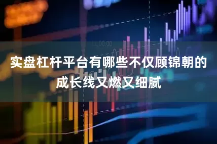 实盘杠杆平台有哪些不仅顾锦朝的成长线又燃又细腻