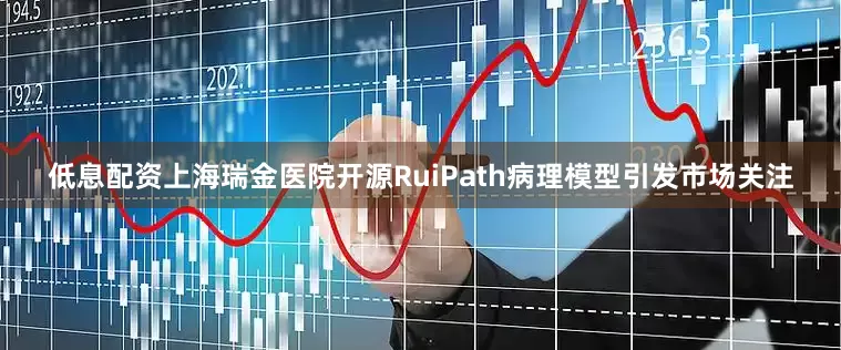 低息配资上海瑞金医院开源RuiPath病理模型引发市场关注