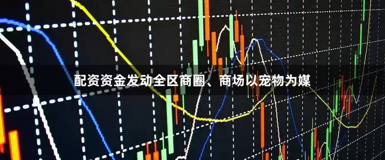 配资资金发动全区商圈、商场以宠物为媒