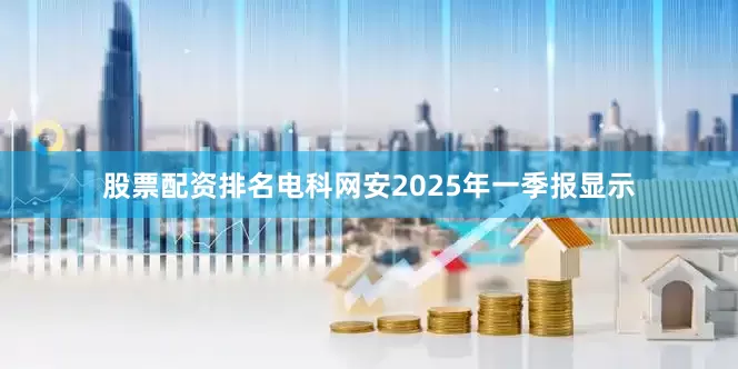 股票配资排名电科网安2025年一季报显示