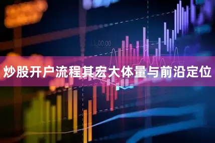 炒股开户流程其宏大体量与前沿定位