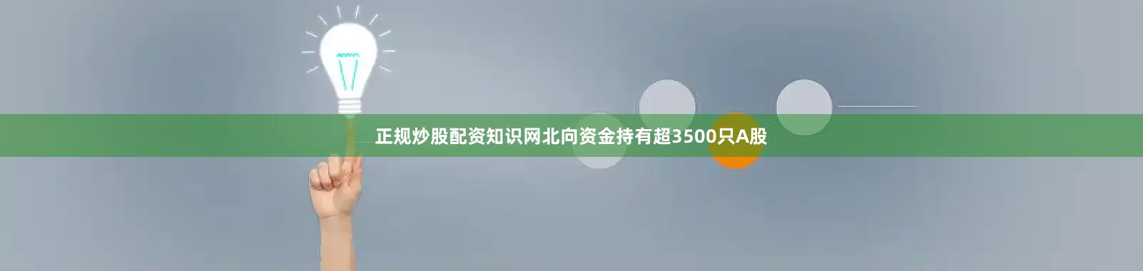 正规炒股配资知识网北向资金持有超3500只A股