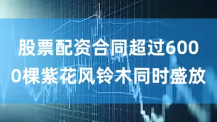 股票配资合同超过6000棵紫花风铃木同时盛放